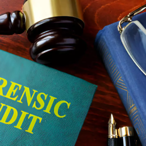 forensic procurement and audit